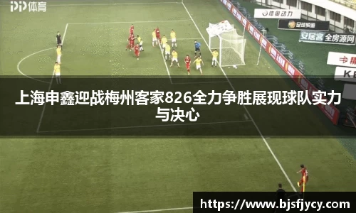 星空XK体育官方网站